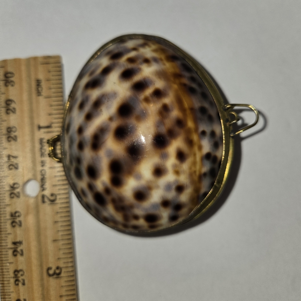 Tiger Cowrie Shell Trinket Box - Picture 2 of 7